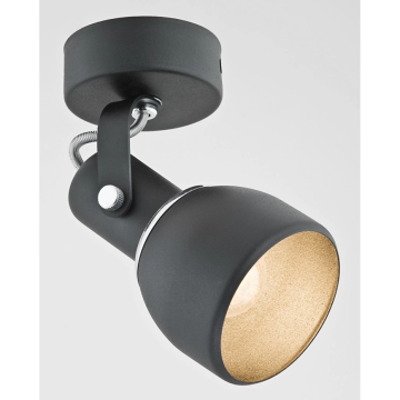 Spotlámpa FOGO 3585 1x60W/E27 IP20 a Argon-tól