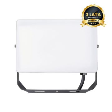 Halogén reflektor FLOODLIGHT EKN9016 50W a Eko Light-tól
