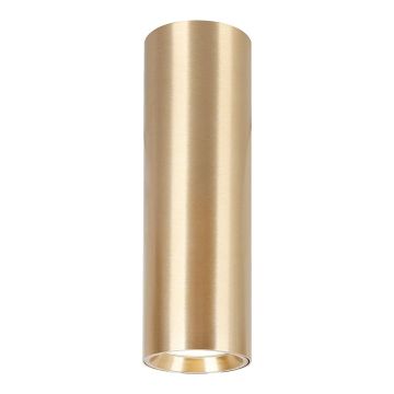Felületi spotlámpa GENESIS ML0386 1x8W/GU10 IP20 a Milagro-tól
