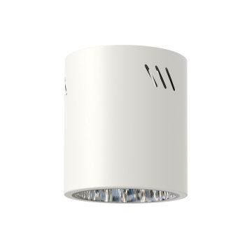 Felületi spotlámpa GEORGE ML0479 1x60W/E27 IP20 a Milagro-tól
