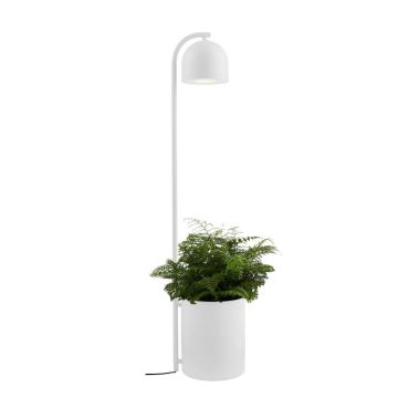 Állólámpa BOTANICA XL 40848101 9W 1x9W/GU10 a Kaspa-tól