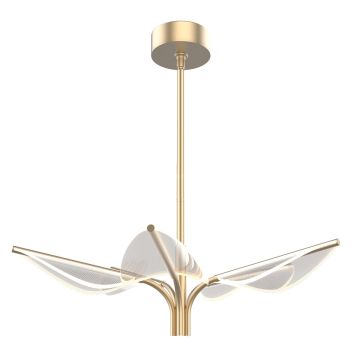 Függőlámpa Floriana QN-FLORIANA-P-S-NBR 2800K 37W 1x37W/LED 1400lm a Quintiesse-tól