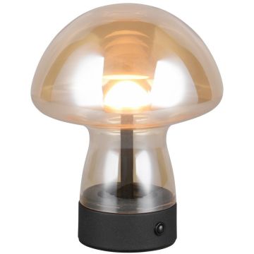 Asztali lámpa DOOLEY R54981113 3000k 1x1.5w/led 140lm ip20 a Trio-tól