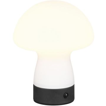 Asztali lámpa DOOLEY R54981131 3000k 1x1.5w/led 140lm ip20 a Trio-tól