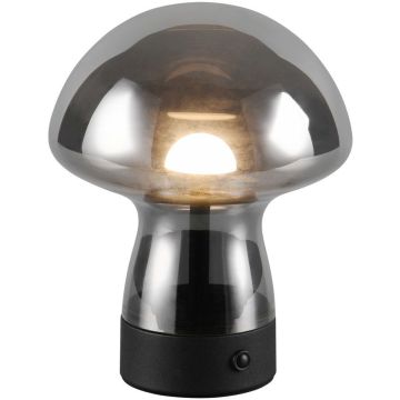 Asztali lámpa DOOLEY R54981154 3000k 1x1.5w/led 140lm ip20 a Trio-tól