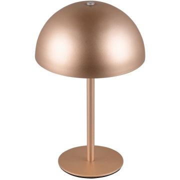 Asztali lámpa MUNOZ R54891165 3000k 1x1.3w/led 120lm ip20 a Trio-tól