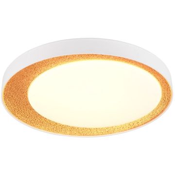 Plafonlámpa ALETA R64611179 2700-6500k 1x24w/led 2500lm ip20 a Trio-tól
