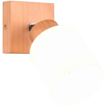 Fali lámpa ASSAM R81111030 1x25w/e14 ip20 a Trio-tól