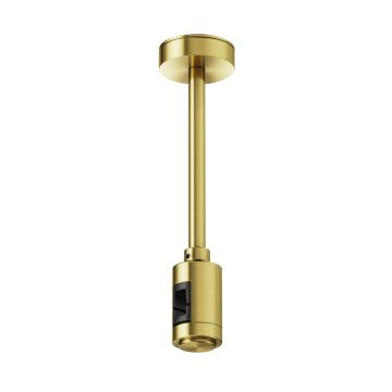 Függeszték Flarity TRA156C-SL1-BS a Maytoni-tól