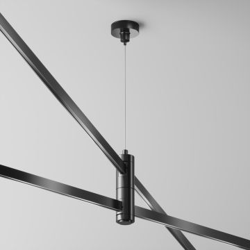 Függeszték Flarity TRA157SW-D1-B a Maytoni-tól