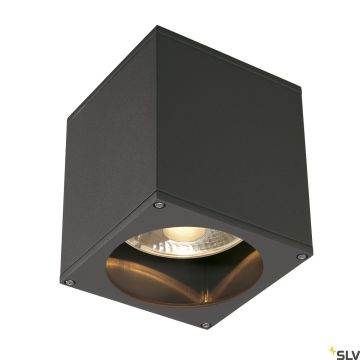 Süllyesztett mennyezeti lámpa THEO 229555 1x75W/GU10/ES111 IP44 a SLV-tól