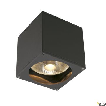 Fali lámpa THEO 229565 1x75W/GU10/ES111 IP44 a SLV-tól