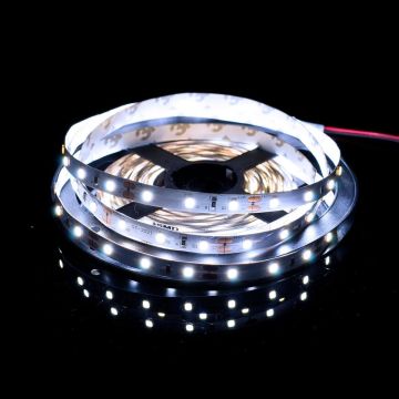 LED szalag PROline TAS4205SLL 6000K 6W/m 60x6W/m/LED 620 lm/m a SMD LED-tól