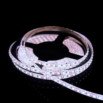 LED szalag PROline TAS4281SLL 6000K 12W/m 120x12W/m/LED 1400 lm/m a SMD LED-tól