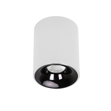 Felületi spotlámpa Tom LP-4848/1RM WH 3000K|4000K|6000K 5W 1x5W/LED 554lm a Light Prestige-tól
