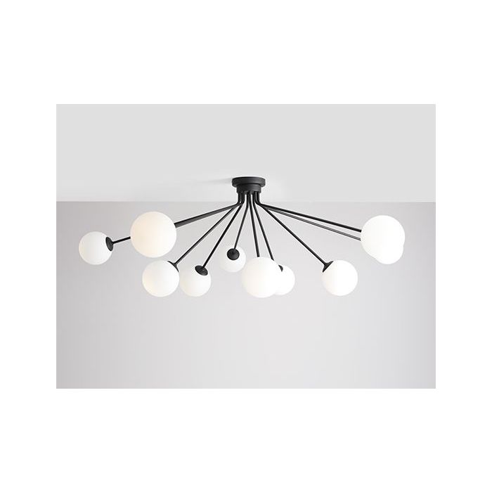 HOLM-1082PL_M1-Aldex-170447