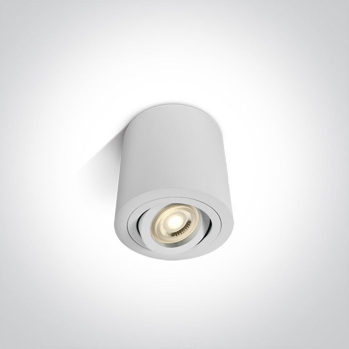 The Ceiling Lights-12105AB/W-One LIght-245642