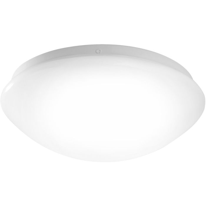 ANDREA-LED-14243-16-Paul Neuhaus-250603