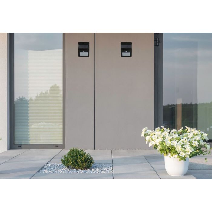 BOX-307644-Polux-172714