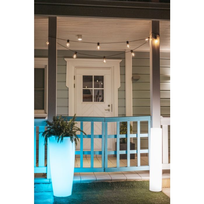 BAMBU-3284-New Garden-251574