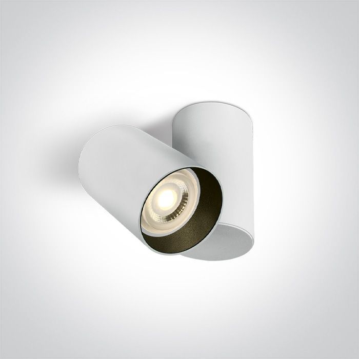Decorative Directional-65105E/W-One LIght-245669