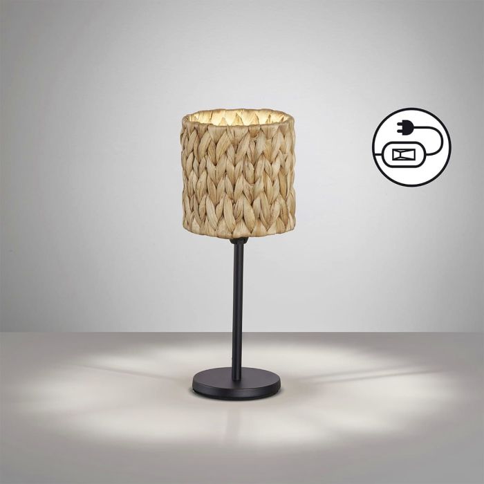 Hyazinthe-50678-Fischer&Honsel-224738