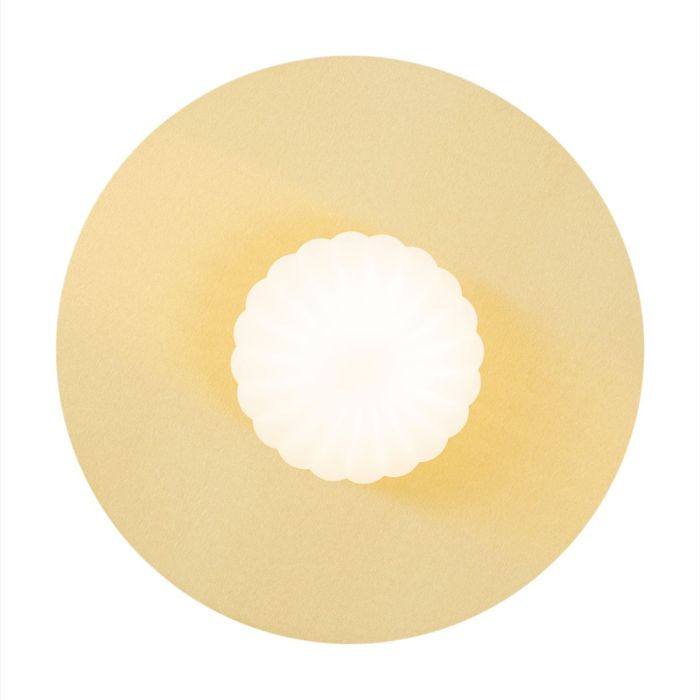 PALOMA-8503-Argon-225021