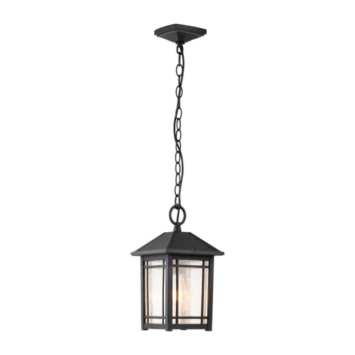 Cedar Point-QZ-CEDAR-POINT8-M-BK-Quoizel-221838