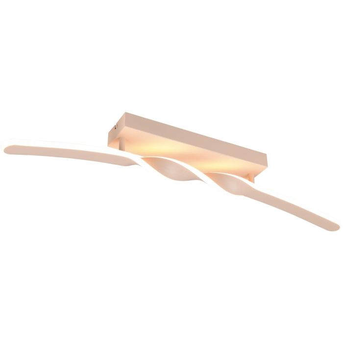 GINKO-R65791166-TRIO-243961