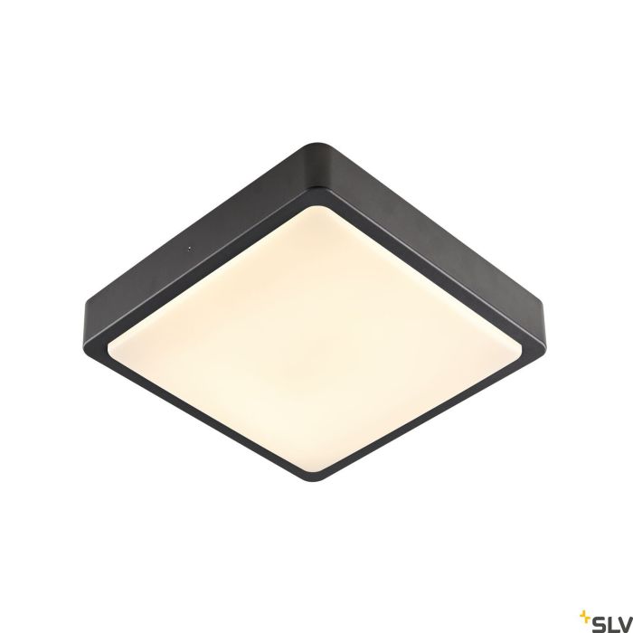 AINOS-1003452-SLV-171555