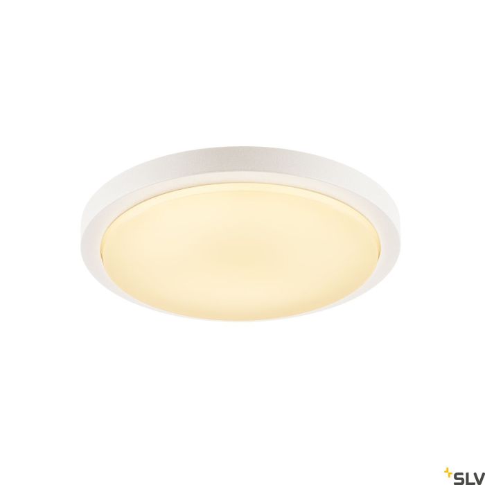 AINOS-229971-SLV-118323