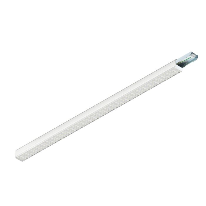 EASYLIGHT-1009210-SLV-253843