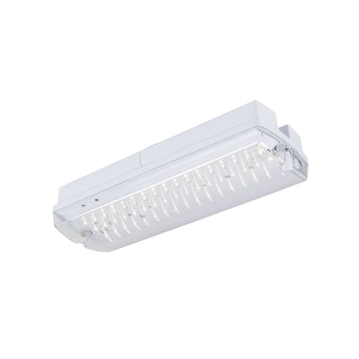 P-LIGHT-1010505-SLV-254558