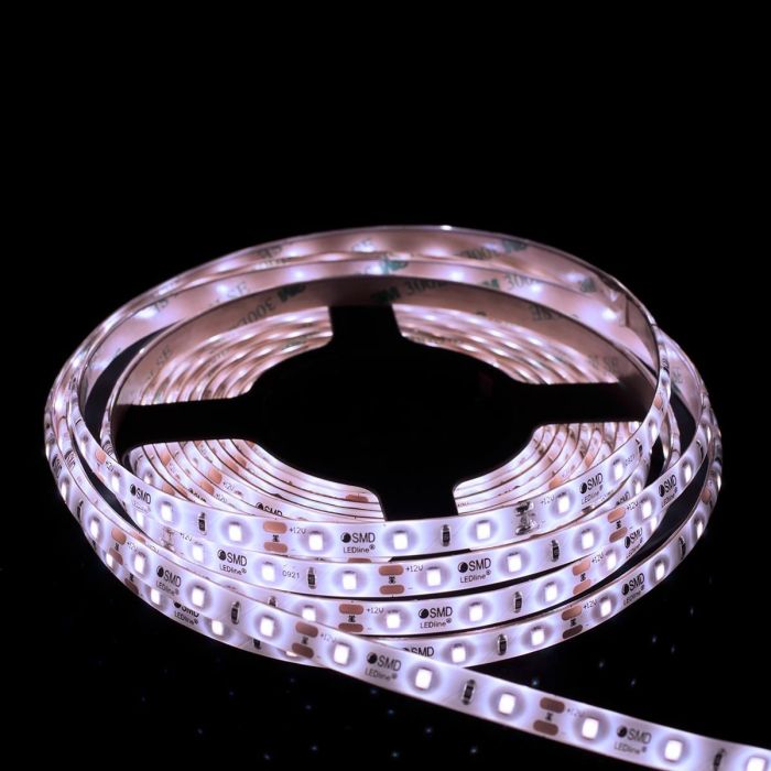 PROline-TAS4250SLL-SMD LED-236019